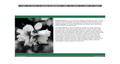 Desktop Screenshot of pacificalmond.com